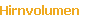 Hirnvolumen