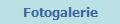 Fotogalerie