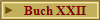 Buch XXII